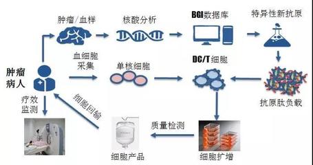 煜森資本 華大吉諾因攜腫瘤新生抗原誘導CTL技術(shù)亮相AACR，開啟免疫治療新篇章